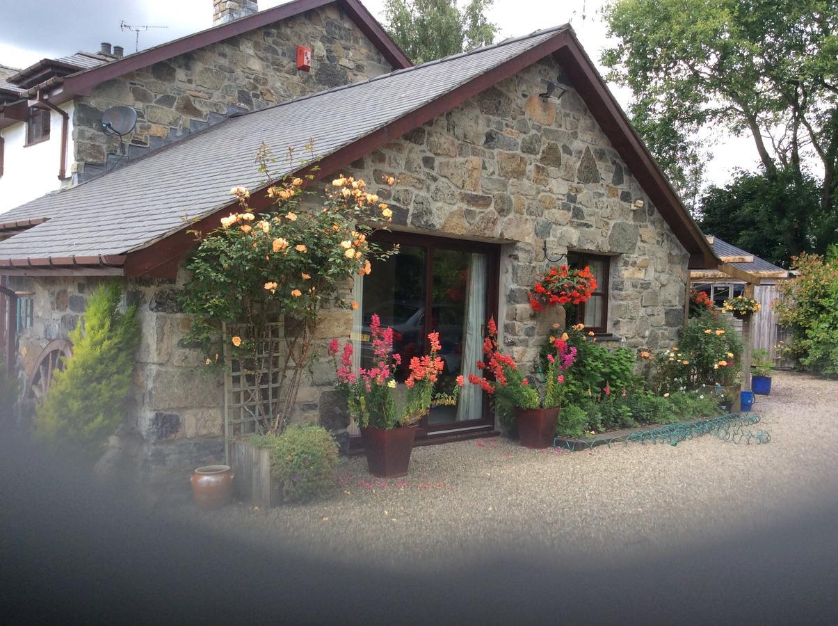Cysgod Y Garn Bed & Breakfast Bala Exterior photo