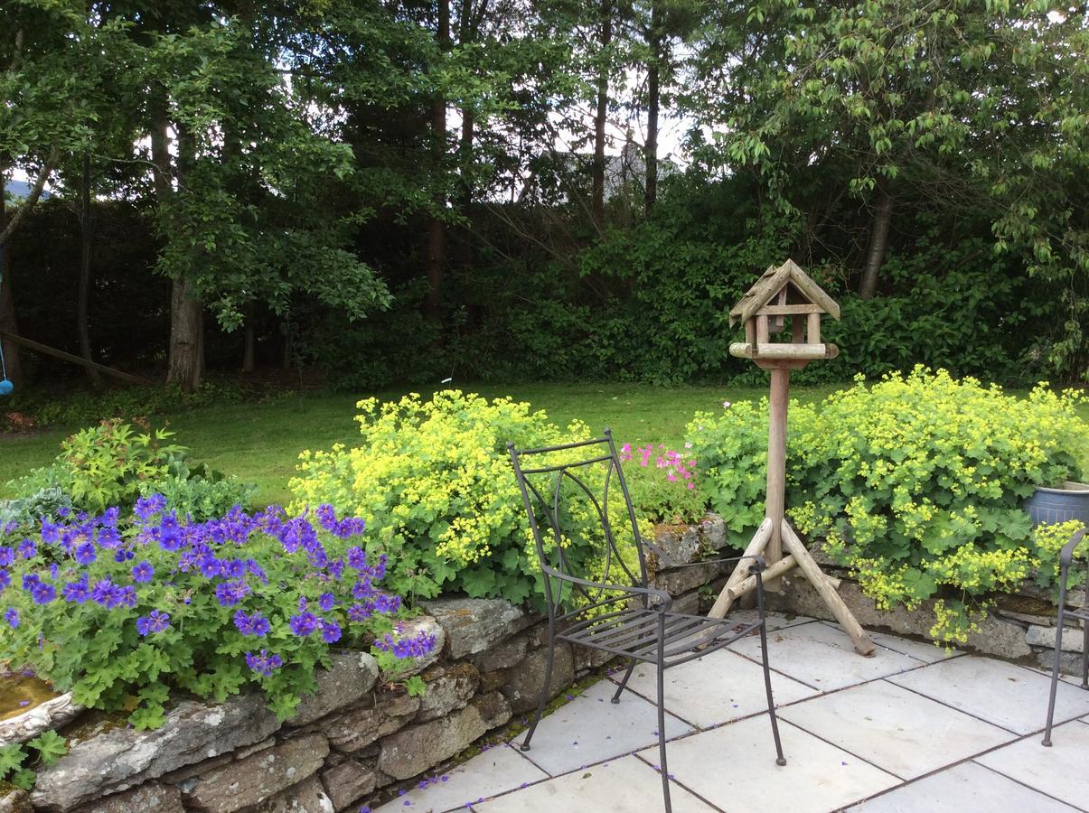 Cysgod Y Garn Bed & Breakfast Bala Exterior photo